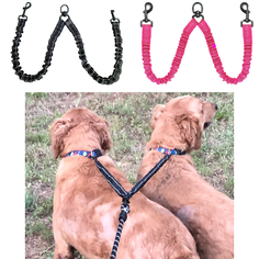 Dual Bungee Pet Leash Add-On product